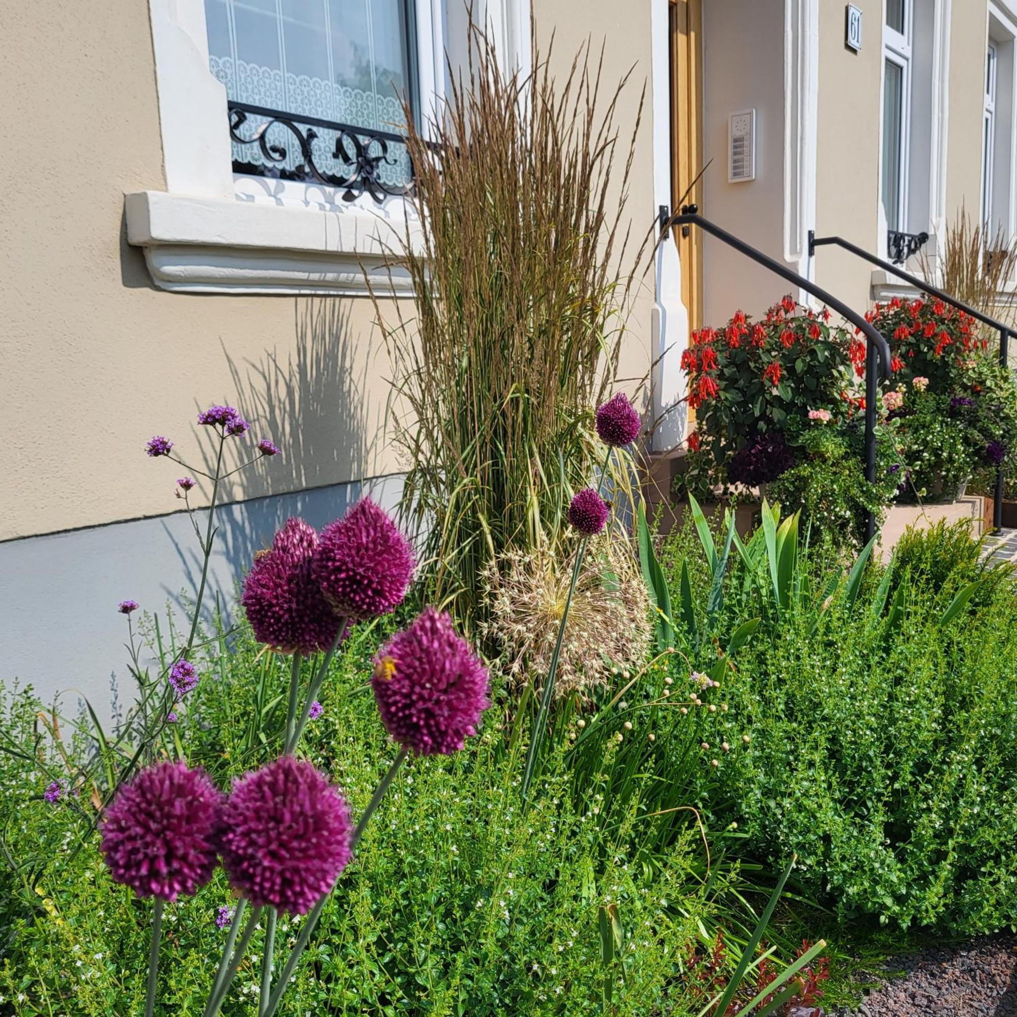 Komfort Ferienwohnungen Mit Wellness-Garten - Gaestehaus Am Bachlauf - Losheim Am See Экстерьер фото