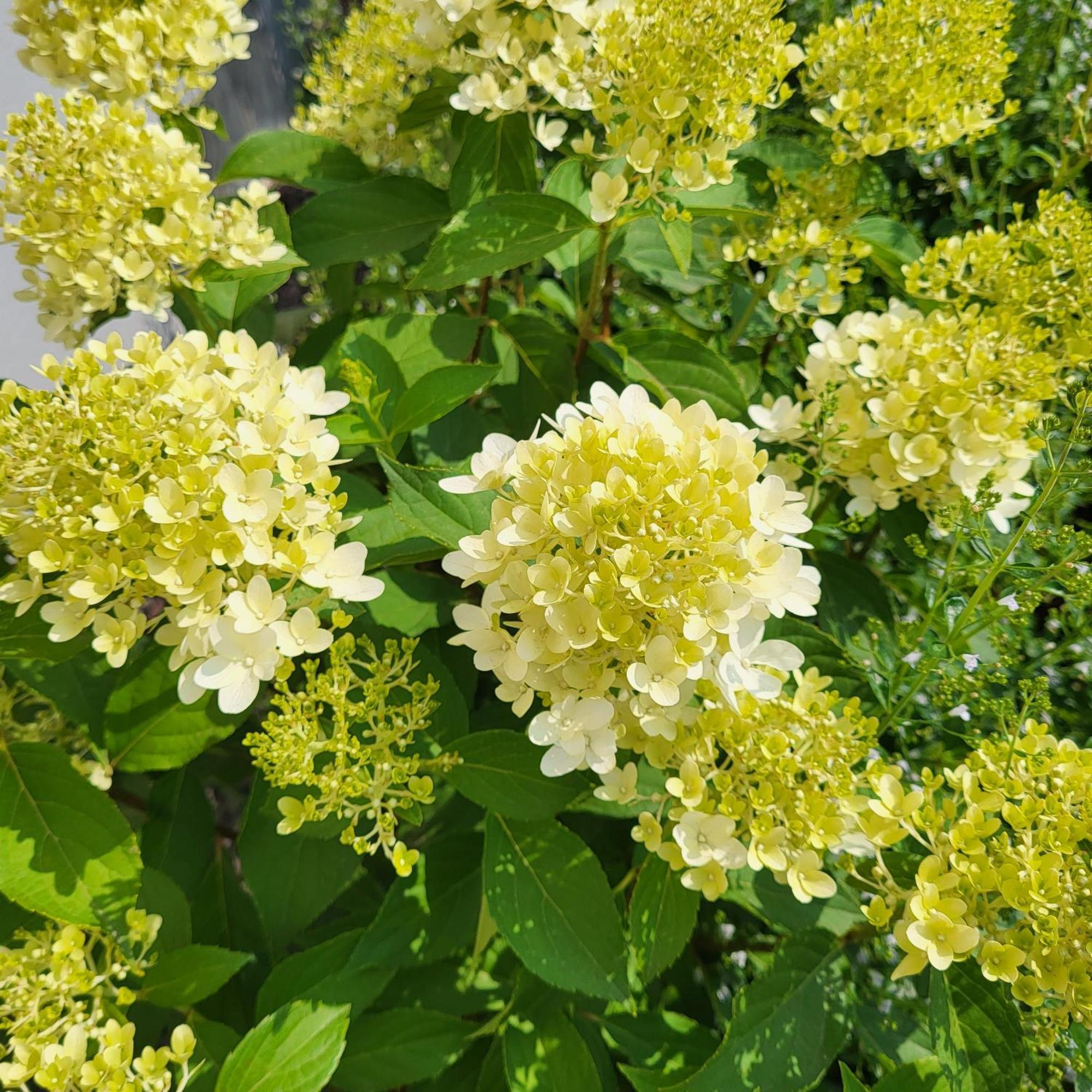 Komfort Ferienwohnungen Mit Wellness-Garten - Gaestehaus Am Bachlauf - Losheim Am See Номер фото