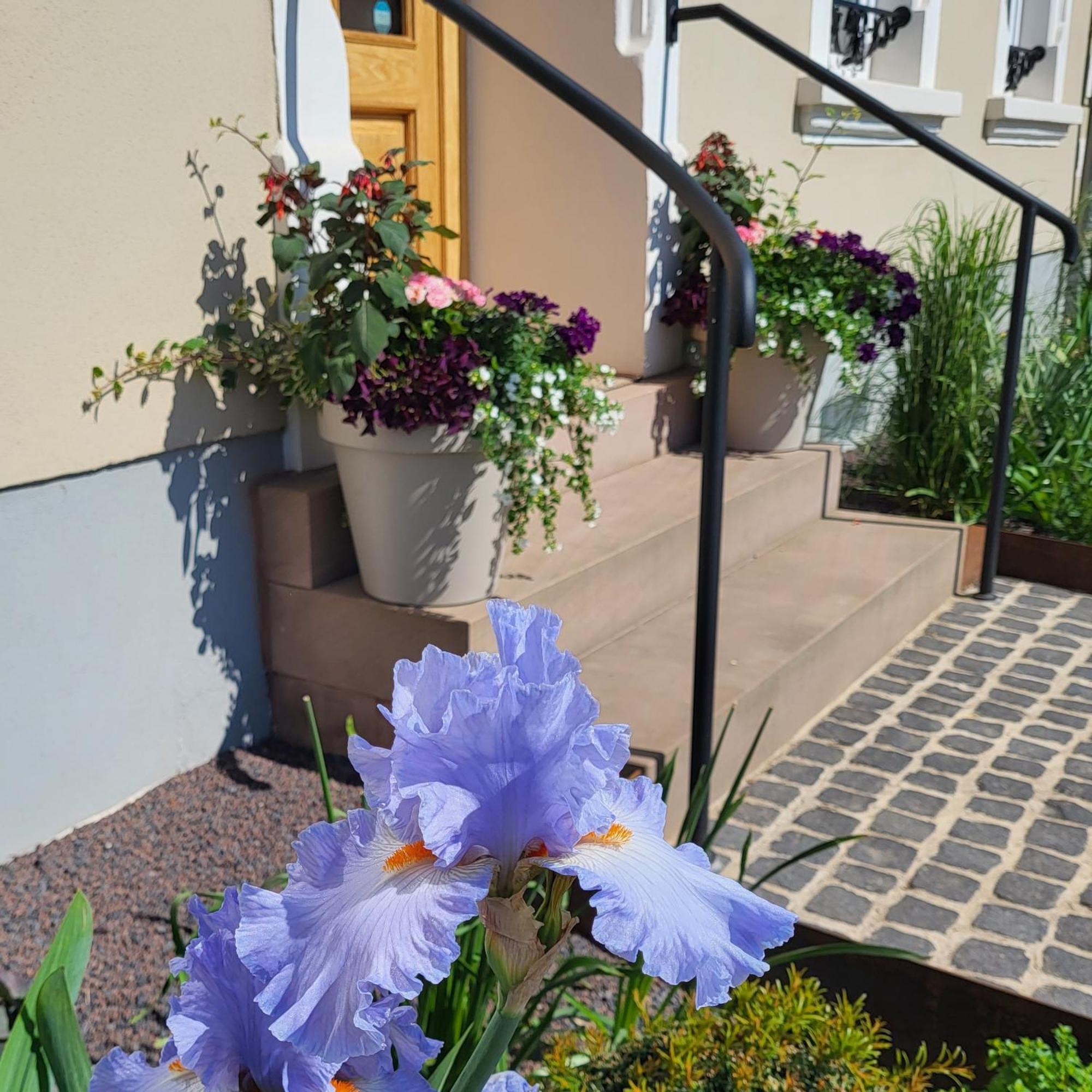 Komfort Ferienwohnungen Mit Wellness-Garten - Gaestehaus Am Bachlauf - Losheim Am See Номер фото